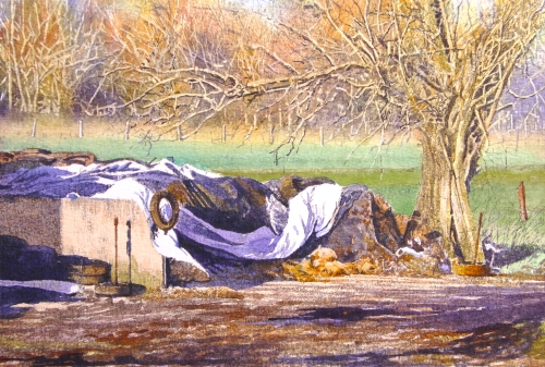 Boerderij langs Asselkouter (3), Munte