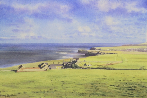 Boulby Cliffs, Engeland (466)